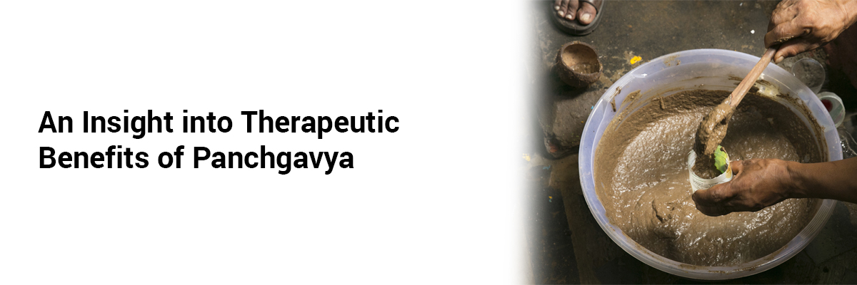 An Insight into Therapeutic Benefits of Panchgavya