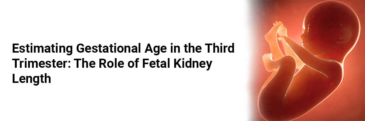 Estimating Gestational Age in the Third Trimester: The Role of Fetal Kidney Length