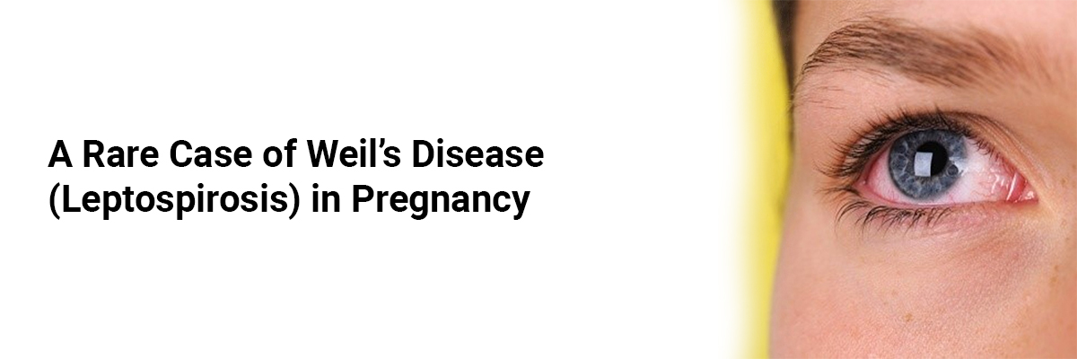 A rare case of Weil’s disease (leptospirosis) in pregnancy