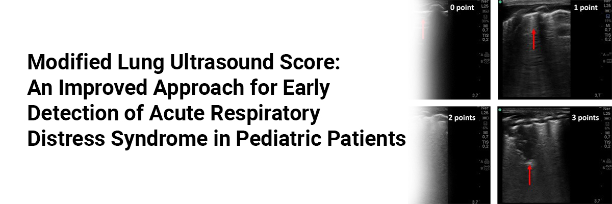 Modified Lung Ultrasound Score: An Improved Approach for Early Detection of Acute Respiratory Distress Syndrome in Pediatric Patients