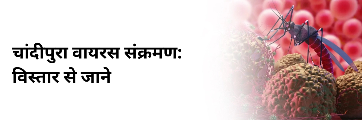 चांदीपुरा वायरस संक्रमण: विस्तार से जाने