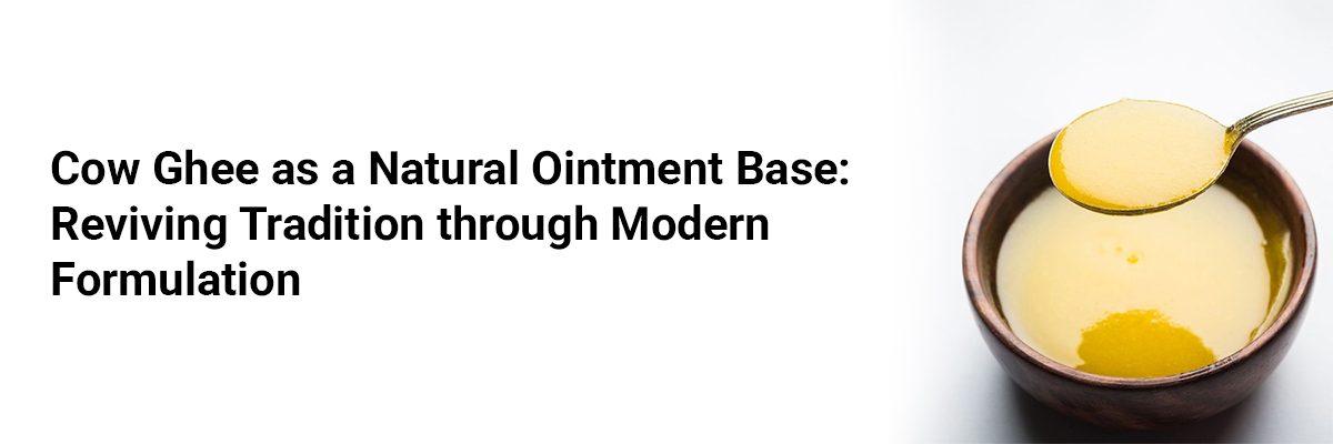 Cow Ghee as a Natural Ointment Base: Reviving Tradition through Modern Formulation