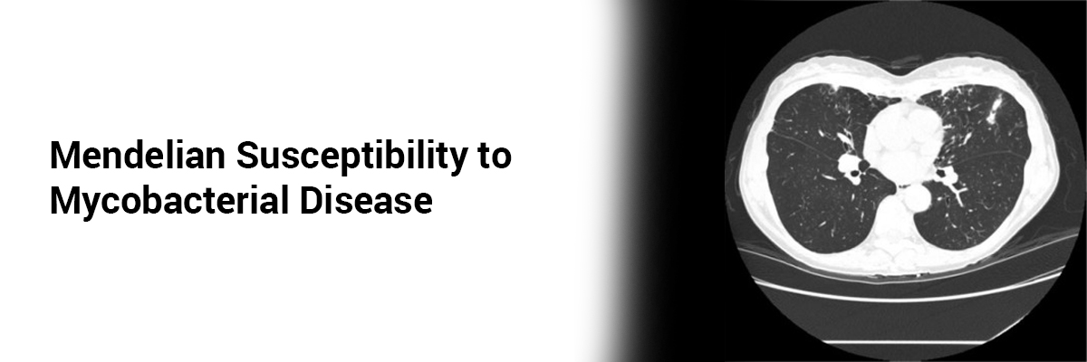 Mendelian Susceptibility to Mycobacterial Disease 