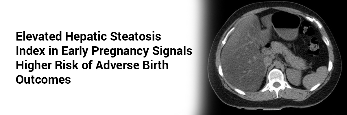 Elevated Hepatic Steatosis Index in Early Pregnancy Signals Higher Risk of Adverse Birth Outcomes