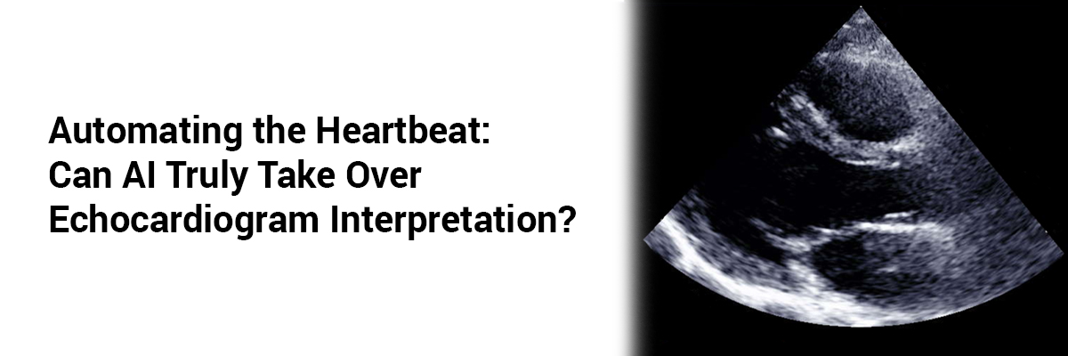 Automating the Heartbeat: Can AI Truly Take Over Echocardiogram Interpretation?