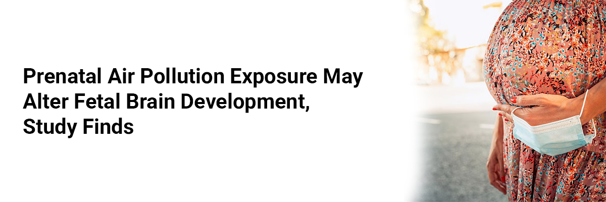 Prenatal Air Pollution Exposure May Alter Fetal Brain Development, Study Finds