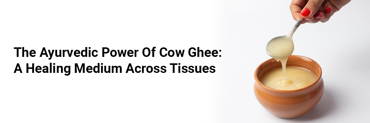The Ayurvedic Power of Cow Ghee: A Healing Medium Across Tissues