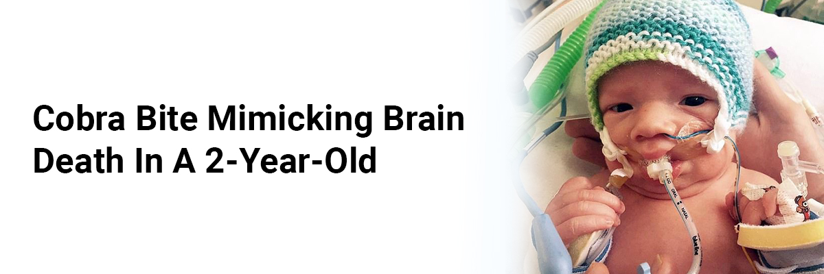 Cobra Bite Mimicking Brain Death in a 2-Year-Old