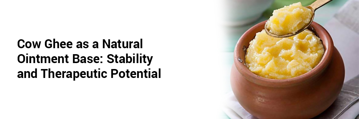 Cow Ghee as a Natural Ointment Base: Stability and Therapeutic Potential