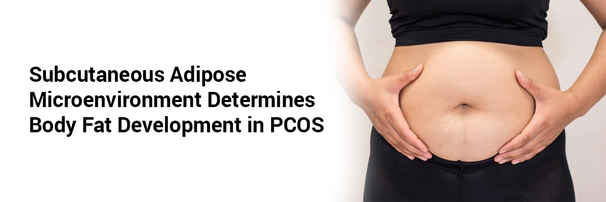 Subcutaneous Adipose Microenvironment Determines Body Fat Development in PCOS