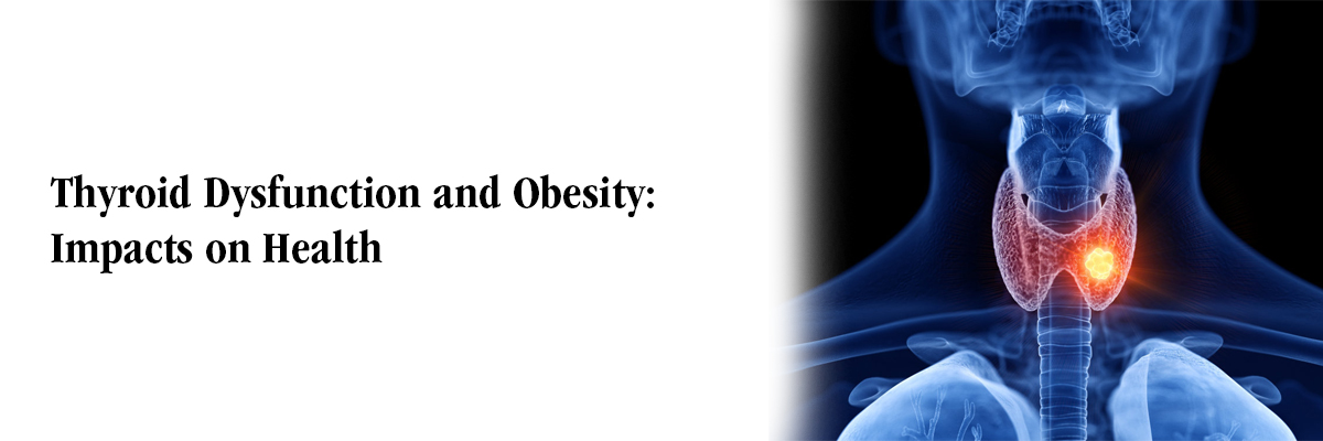 Thyroid Dysfunction and Obesity: Impacts on Health