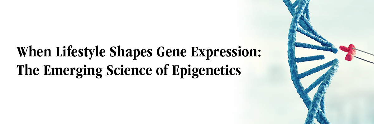 When Lifestyle Shapes Gene Expression: The Emerging Science of Epigenetics