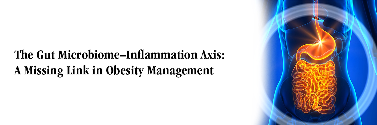 The Gut Microbiome–Inflammation Axis: A Missing Link in Obesity Management