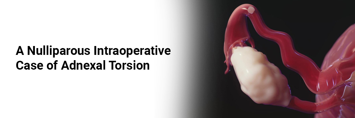 A Nulliparous Intraoperative Case of Adnexal Torsion