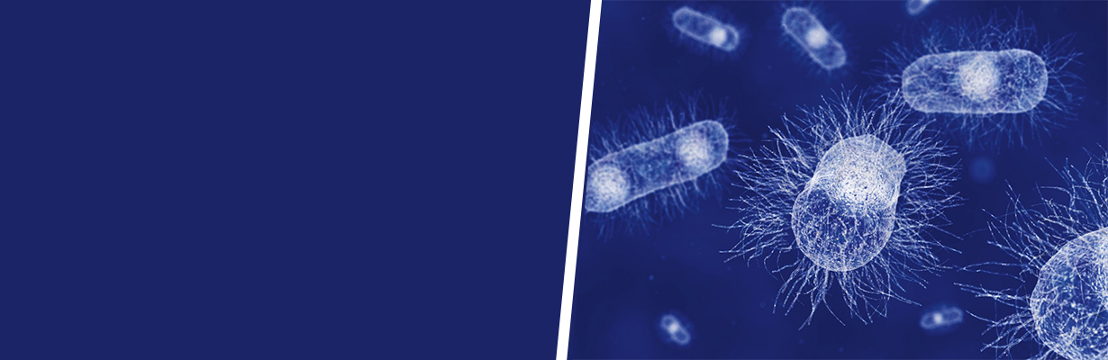 Can the general public help in preventing the spread of AMR?