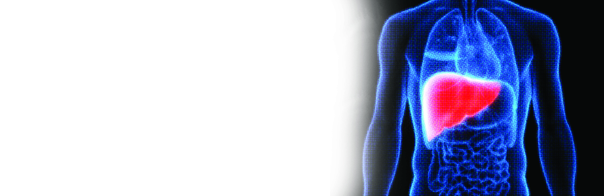 Prevention of Hepatitis B and Role of Counselling