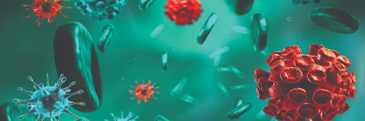 COVID 19 and Hepatitis