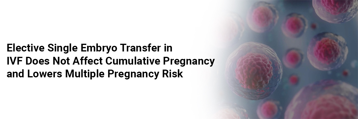 Elective Single Embryo Transfer in IVF Does Not Affect Cumulative Pregnancy and Lowers Multiple Pregnancy Risk