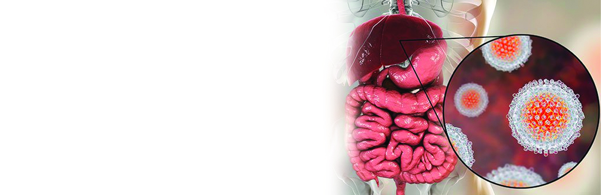 Hepatitis A and its Treatment