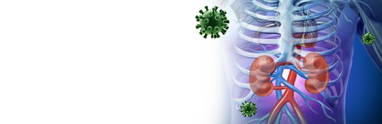 COVID 19 And Kidney: Everything You Should Know