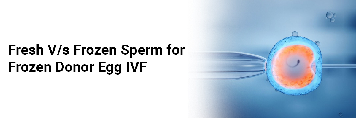 Fresh V/s frozen sperm for frozen donor egg IVF