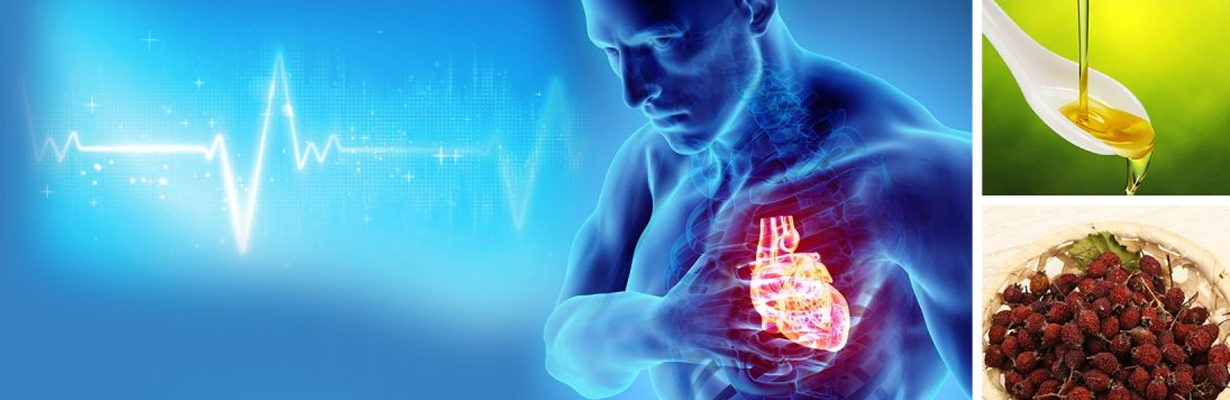 Herbs that slow down your heartbeat?