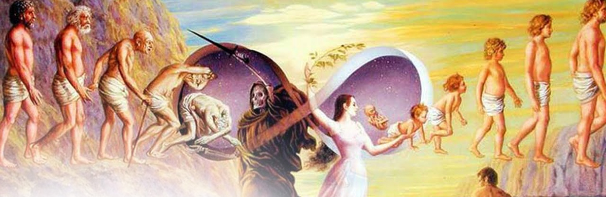How eighty four lakh yonis of Hinduism does is related to a human body?