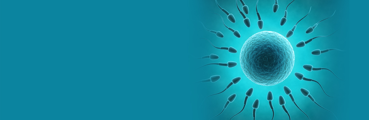 How long can we store sperm?