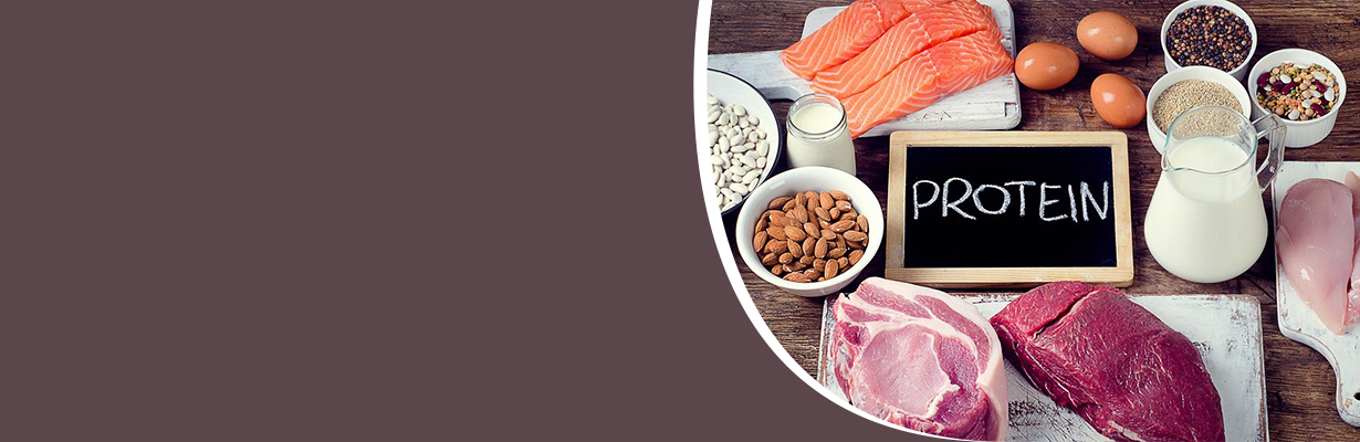 How much protein should I eat every day?