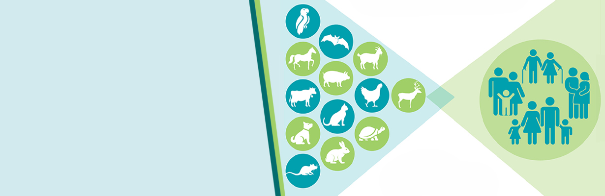 In zoonoses, which diseases are of public health department?