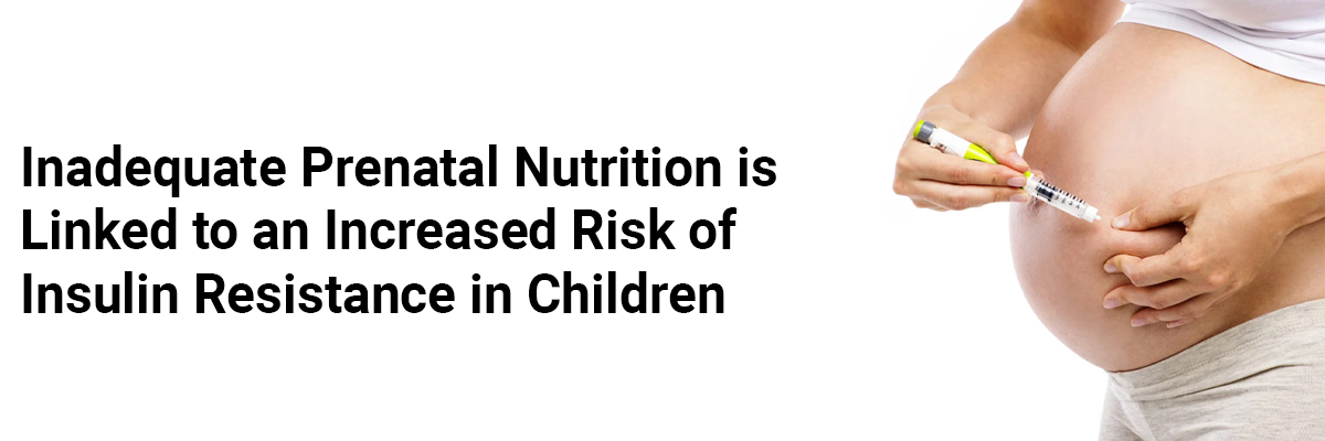 Inadequate prenatal nutrition is linked to an increased risk of insulin resistance in children