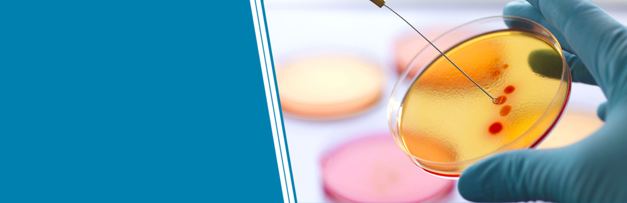 Is Hepatitis C curable?