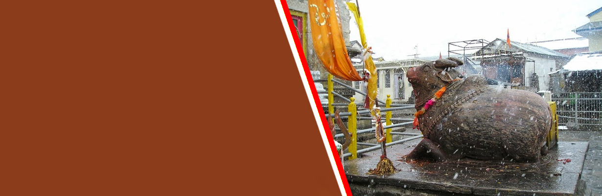 Is it correct that whenever you visit temple; nandi the bull is always present at the entrance?
