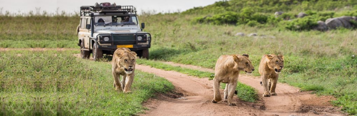Is there any risk to human beings visiting wildlife sanctuaries?