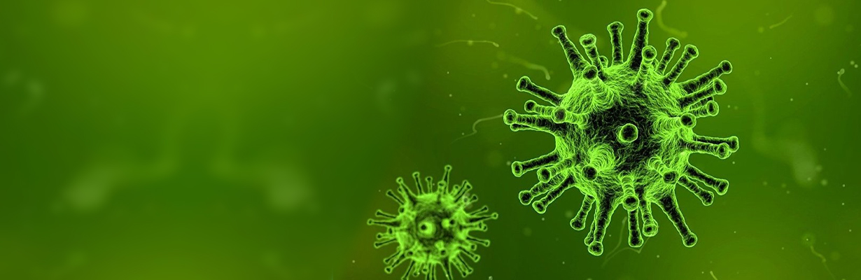 Know about Nipah Virus