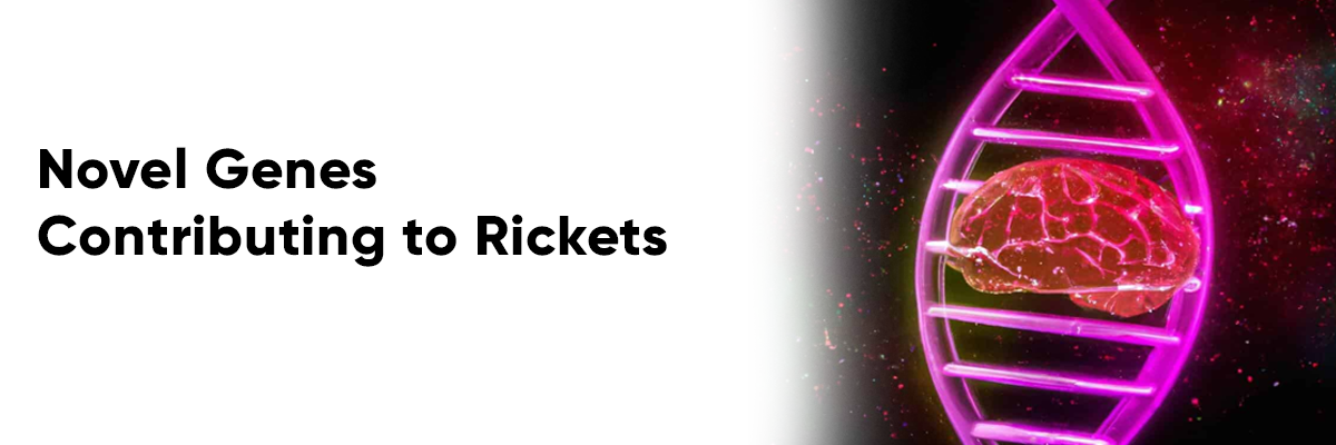 Novel genes contributing to rickets