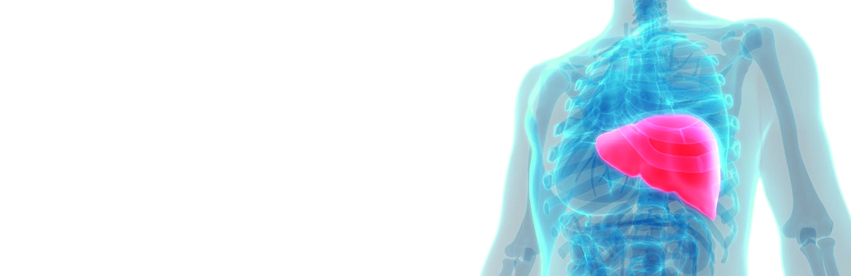 Pathophysiology and Diagnosis of Liver Diseases in the Geriatric Population