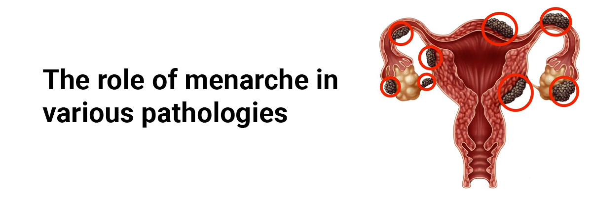 The role of menarche in various pathologies