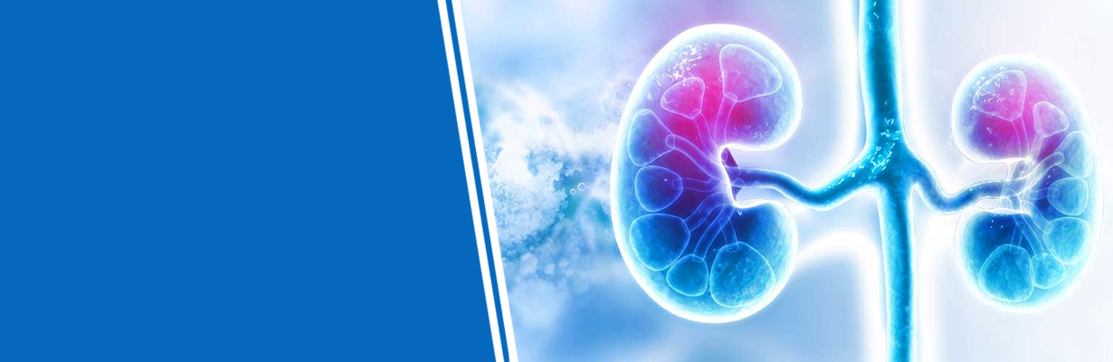 What are the causes of acute kidney injury?