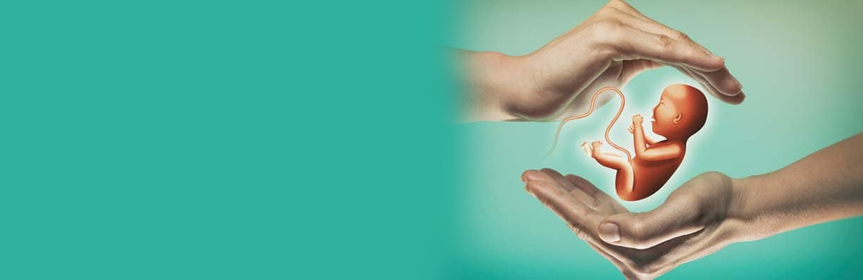 What are the legal aspects in IVF?