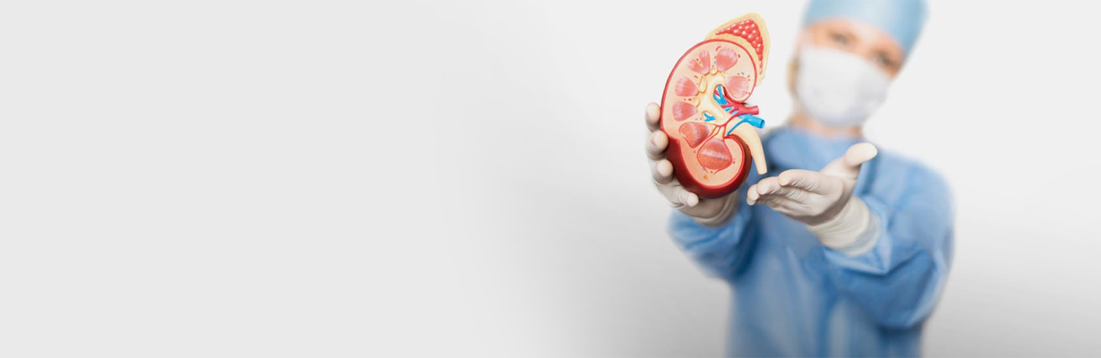 What are the medication considered safe in diabetes kidney disease?