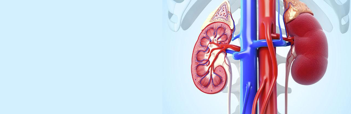 What are the reversible causes of renal dysfunction?