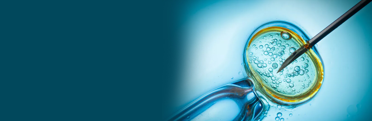 What are the unethical acts in IVF?