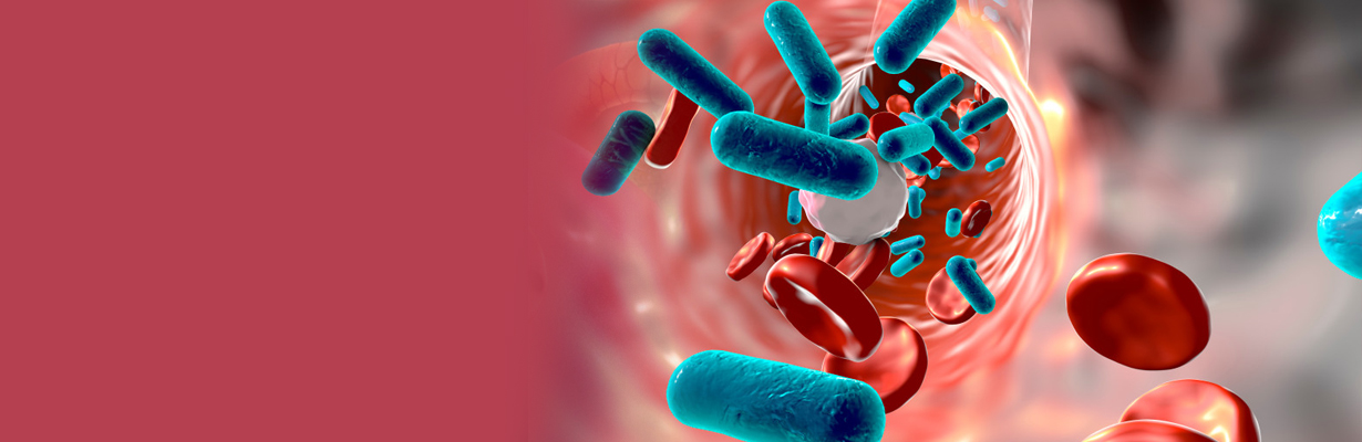 What is a sepsis team & sepsis code?