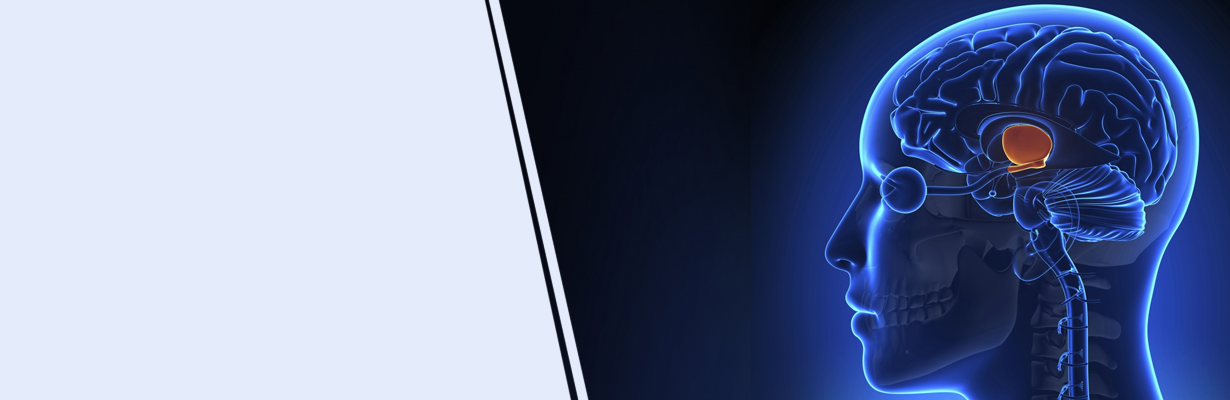 What is metabolic memory?