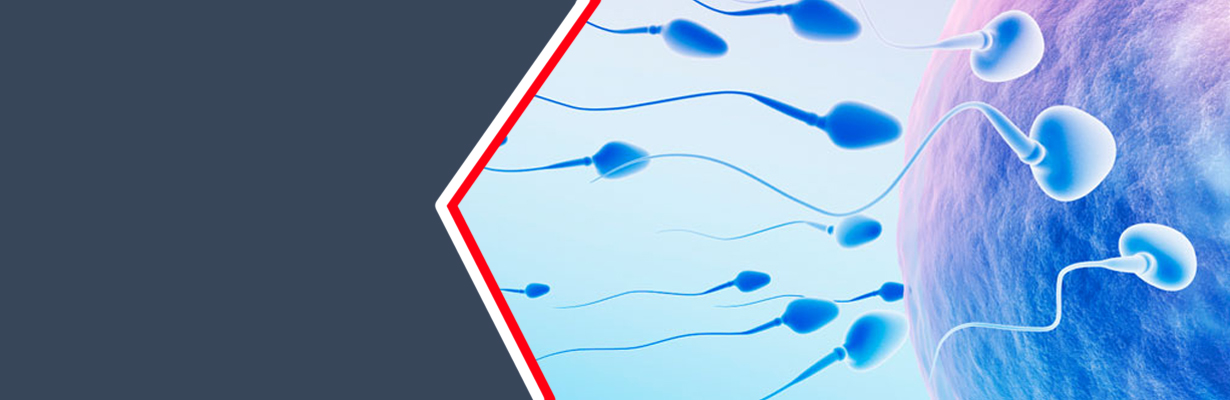 What is the significance of varicocele in male infertility?