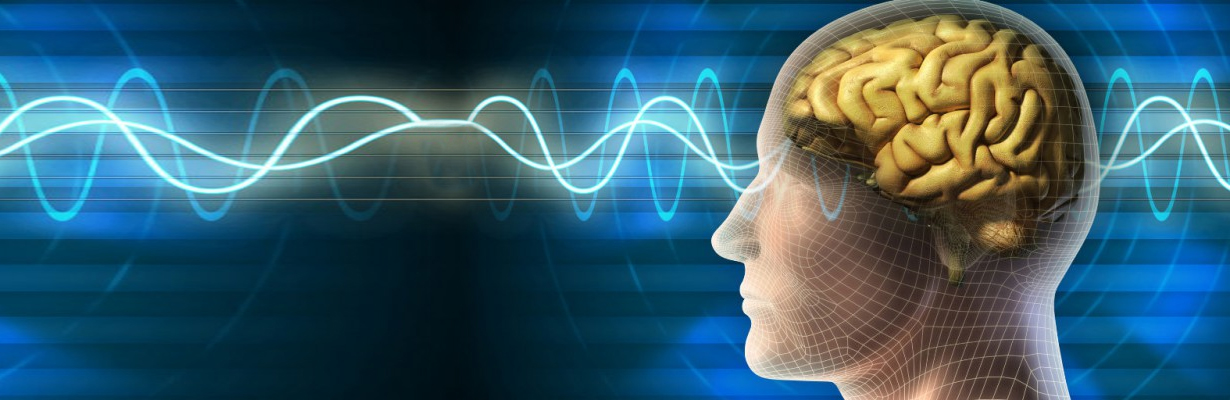 What is the State of Consciousness?