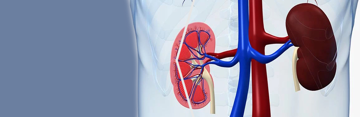 What is the most important parameter to diagnose kidney disease in type 2 diabetic patients?