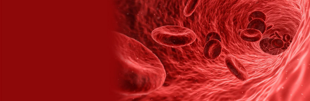 What is the normal blood circulation?