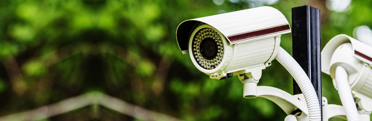 What is the principle surveillance?